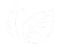 Long-Lasting Fresh Breath